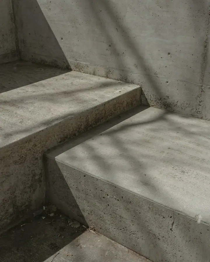 Concrete steps with tree branch shadows cast across the textured grey surface